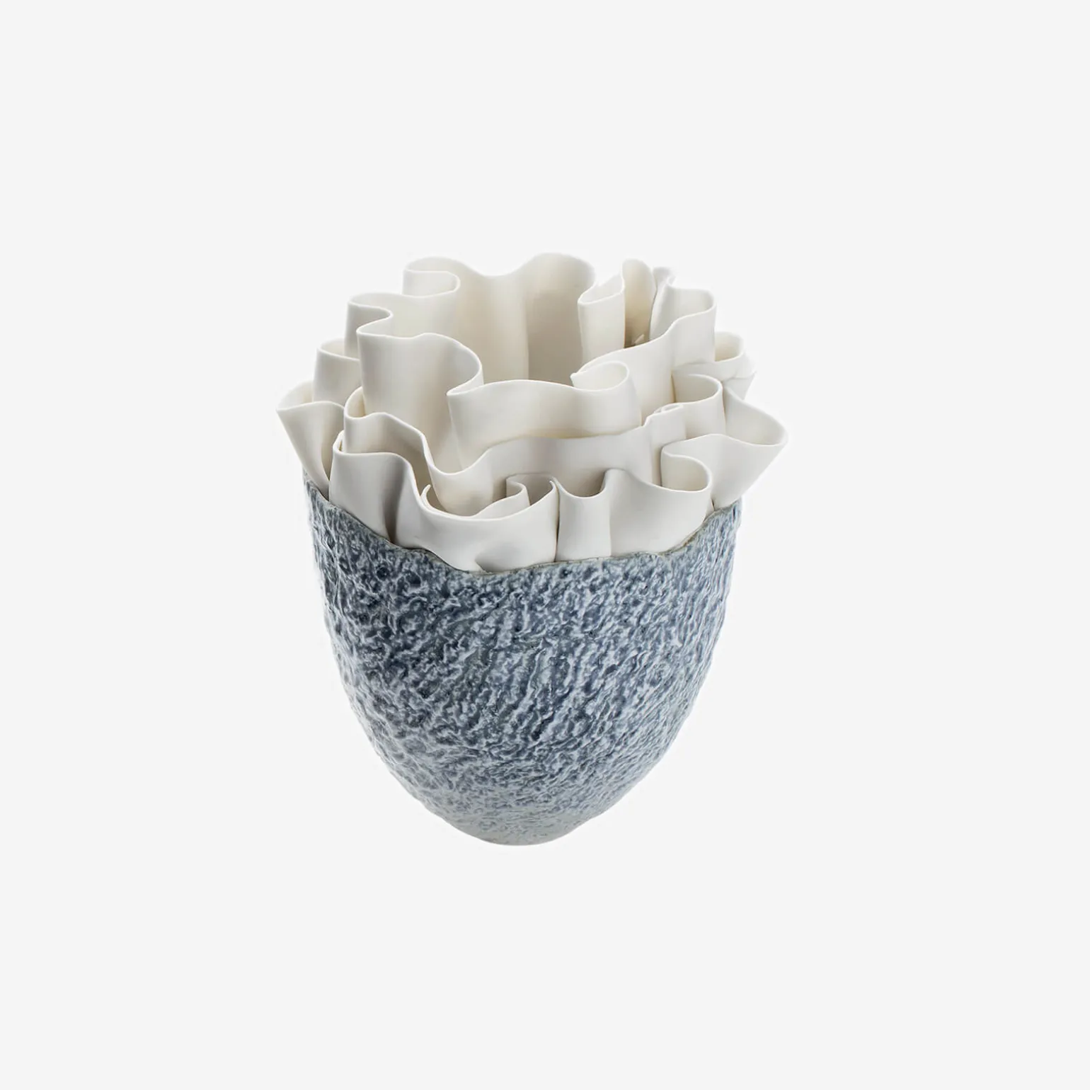 anthozoa_blue_tall_vase_0.webp Anthozoa Blue Tall Vase
