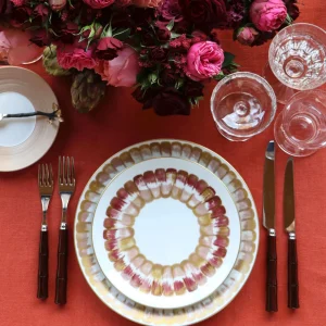 Dahlia Dinner Plate Rose