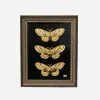 Gilded Butterflies Porcelain Painting