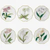 Histoires d'Orchidées Dinner Plates - Set of 6
