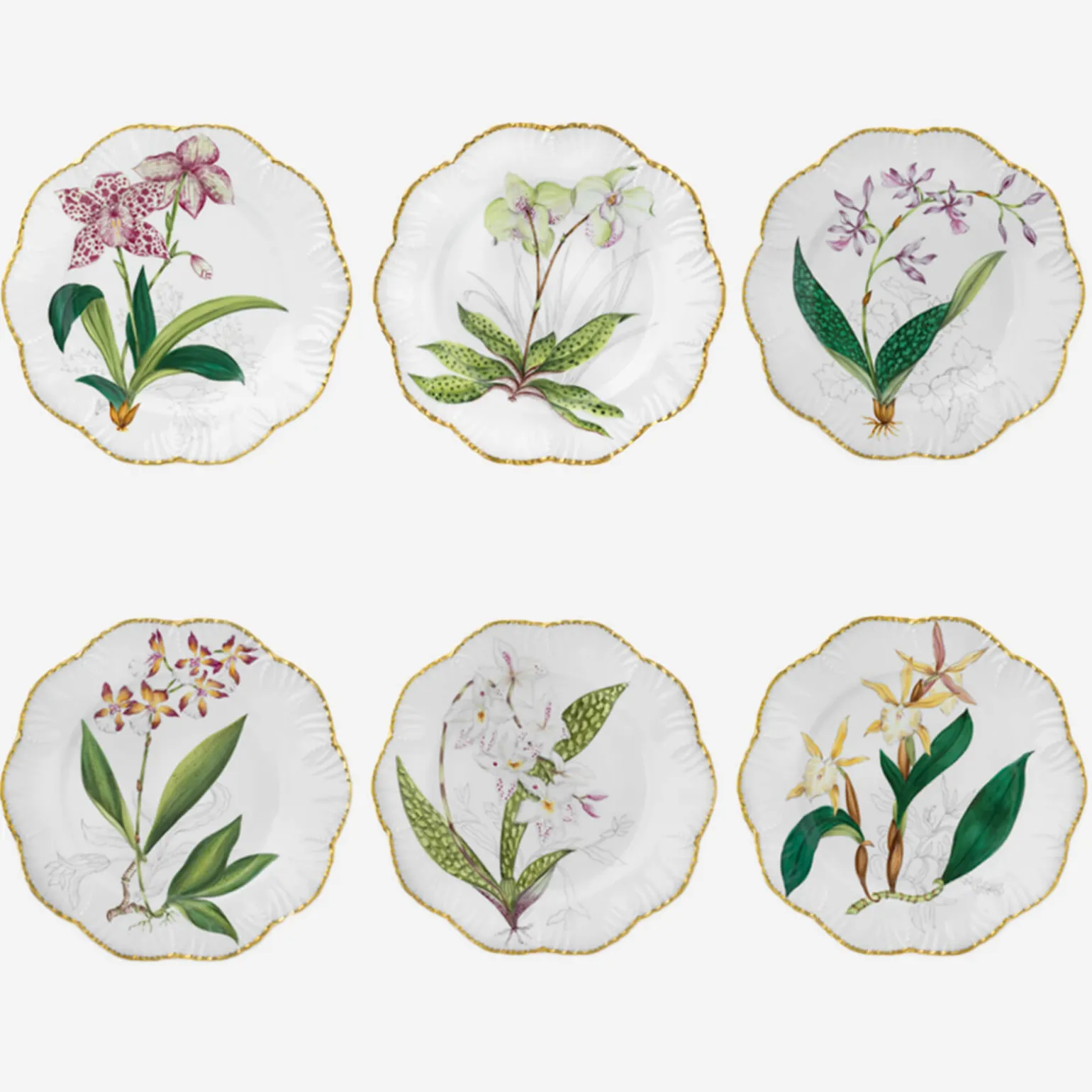 histoires_dorchides_dinne_0.webp Histoires d'Orchidées Dinner Plates - Set of 6