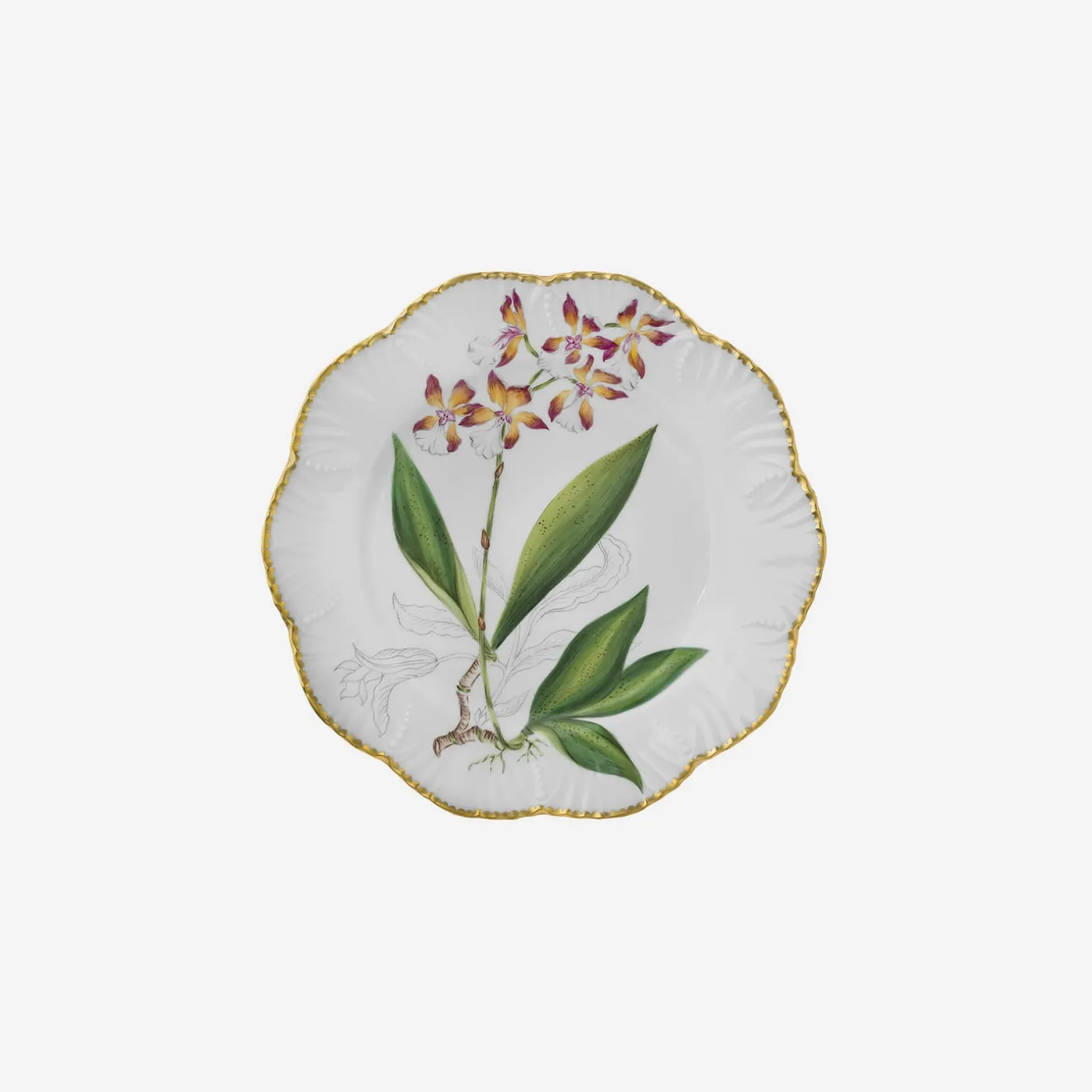 histoires_dorchides_dinne_6.webp Histoires d'Orchidées Dinner Plates - Set of 6