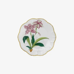 Histoires d'Orchidées Soup Plates - Set of 6