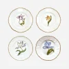 Old Master Tulips Dessert Plate - Set of 4