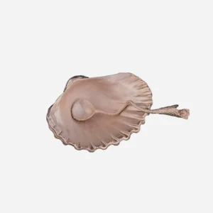 Shell Salt Cellar