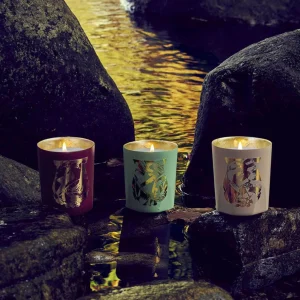 Terre à Terre Scented Candle