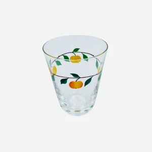 Torino Fruit Tumbler