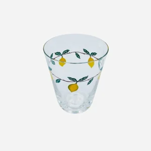 Torino Fruit Tumbler